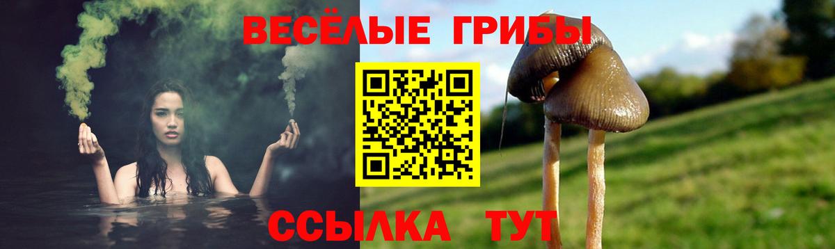 Псилоцибиновые грибы GOLDEN TEACHER Елизово